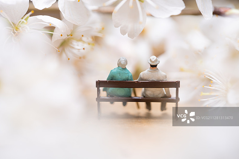 樱花下的老两口图片素材