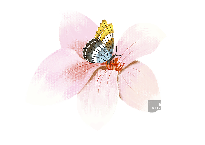 蝴蝶和花图片素材