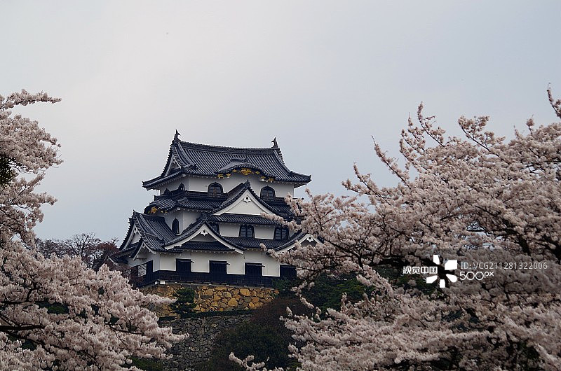 彦根城图片素材
