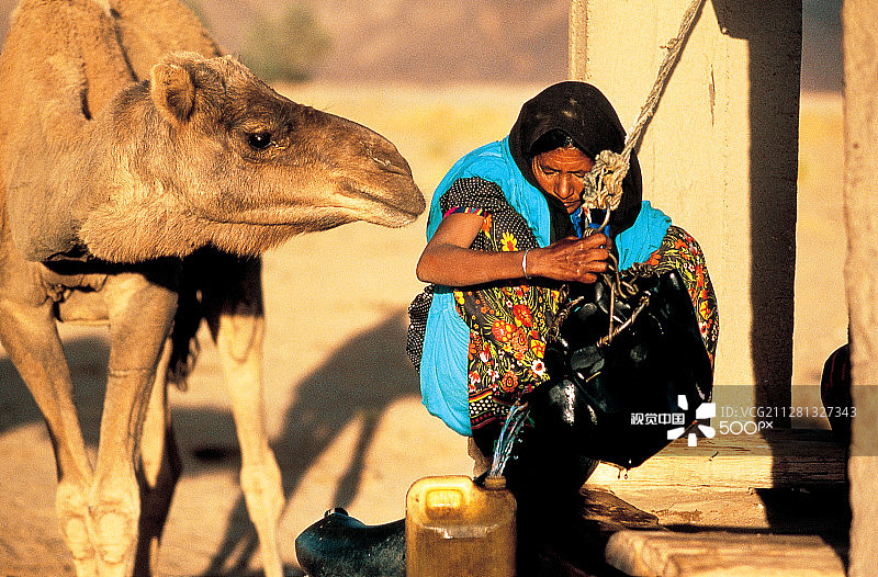 阿法拉的生活片段图片素材
