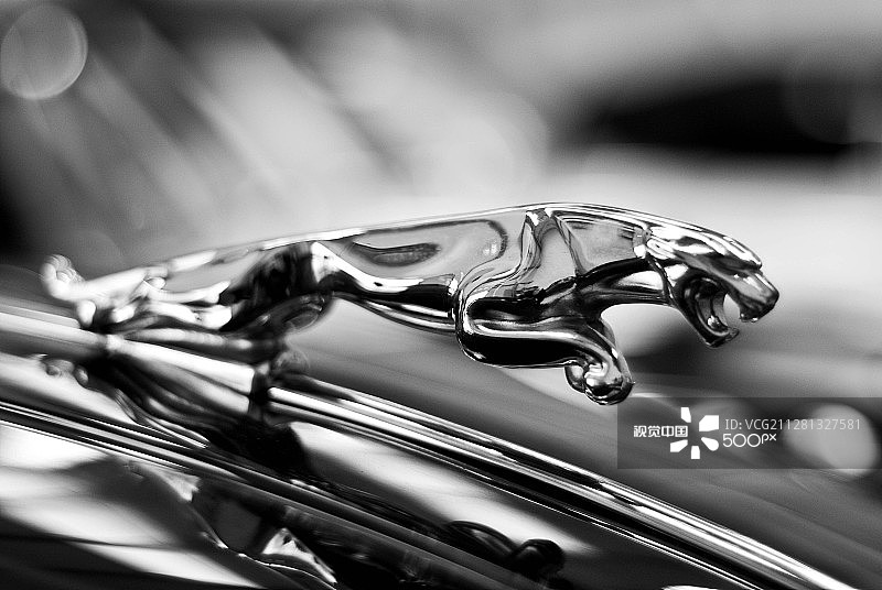 Chris Ward摄影作品 / 500px图片素材