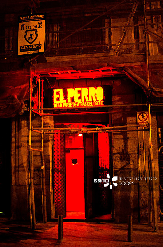 车后座上的小狗图片素材