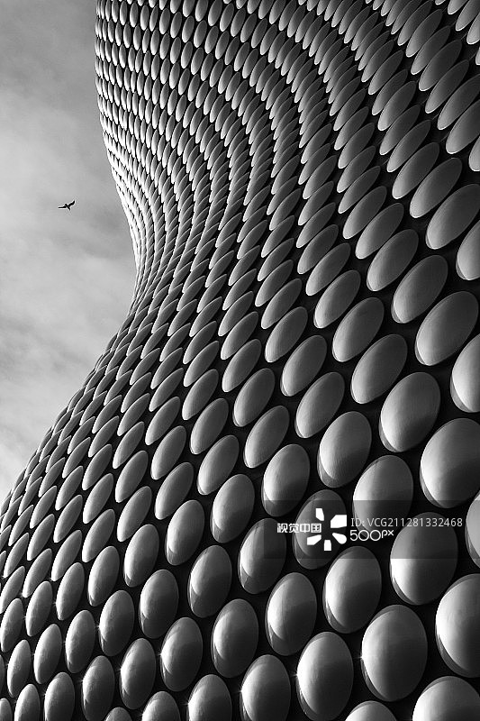 塞尔福里奇百货公司和海鸥图片素材