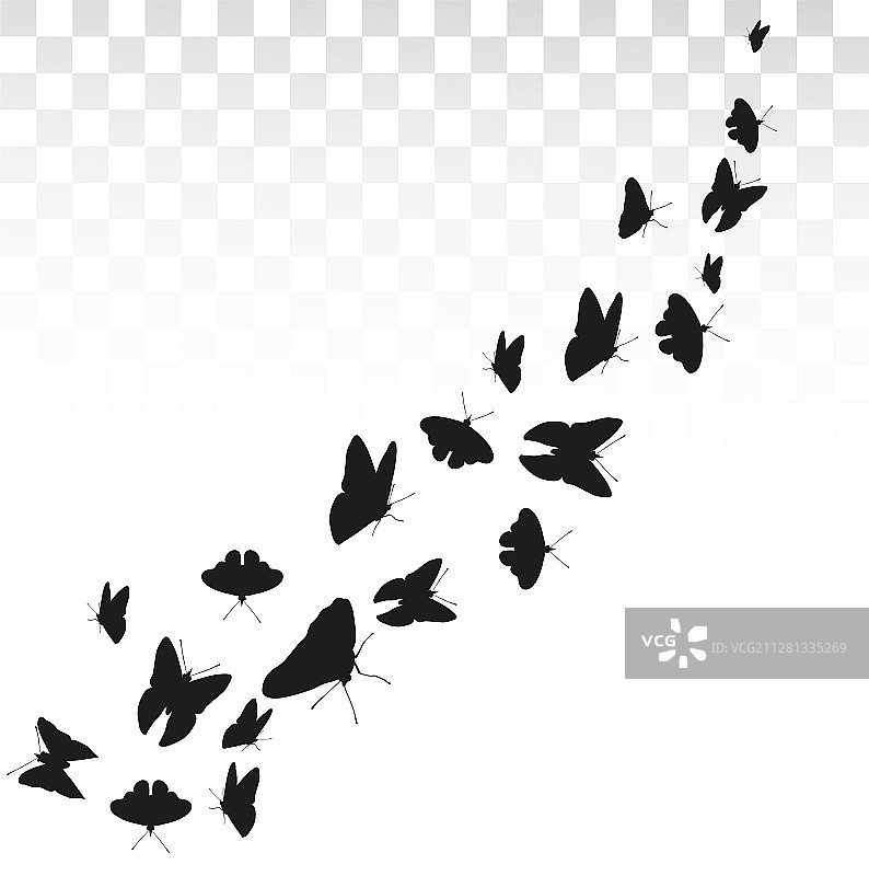 透明背景上的飞舞蝴蝶图片素材