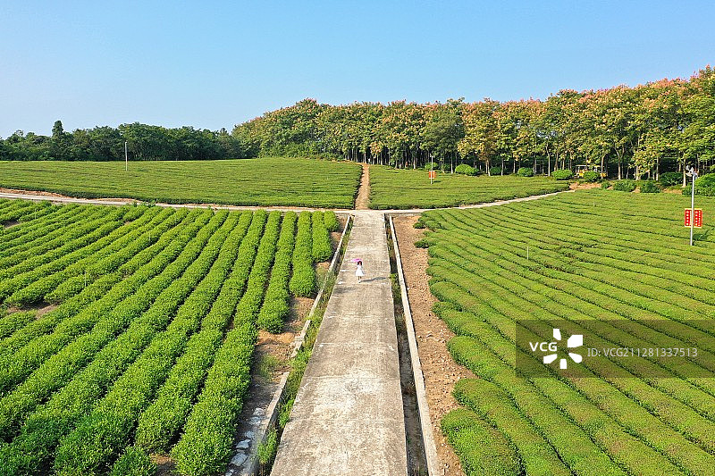 宜人宜兴图片素材