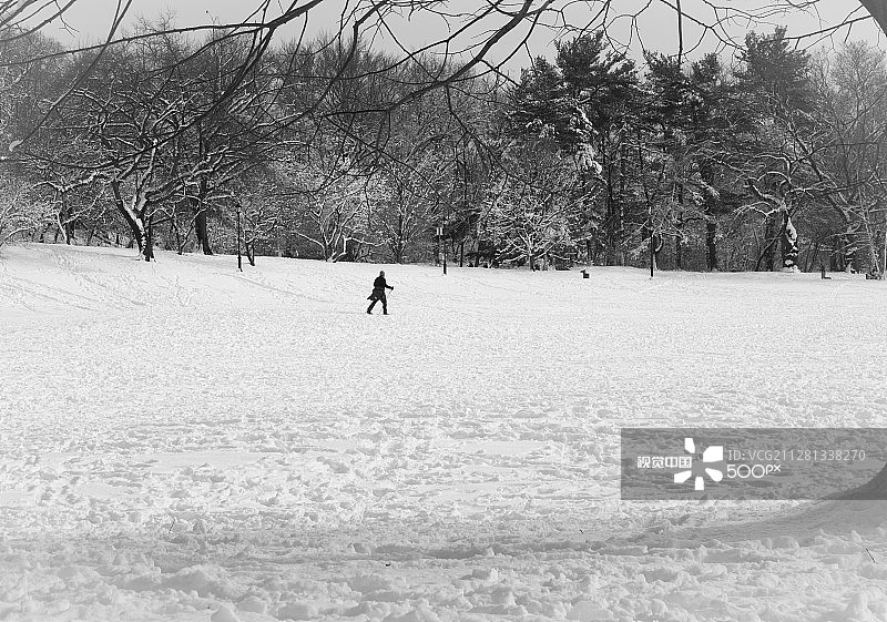 在展望公园越野滑雪图片素材