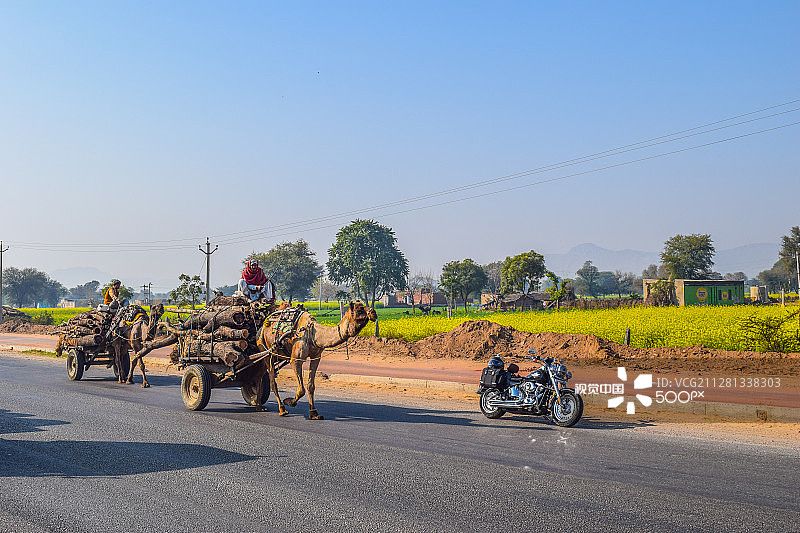 骆驼车图片素材