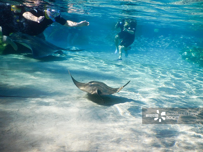 探索湾鳐鱼池图片素材