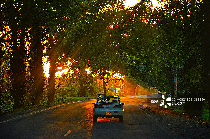 出租车司机图片素材