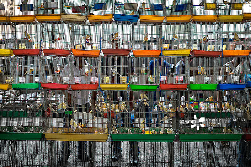 不同的贫民区图片素材