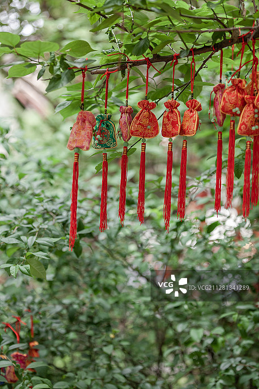 许愿树图片素材