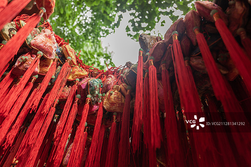 许愿树图片素材