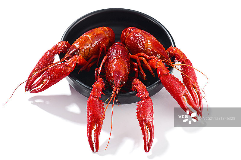 小龙虾图片素材
