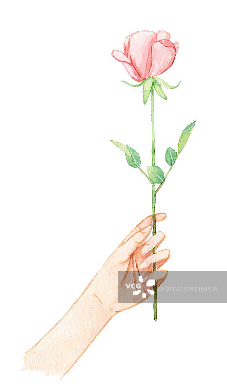 一只手拿着一枝粉色的玫瑰花 水彩手绘插画图片素材