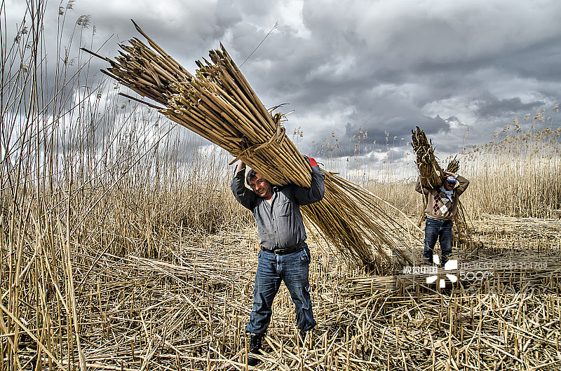 手杖的故事图片素材