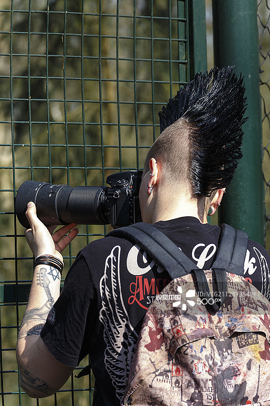 在荷兰动物园迷失的最后的莫希干人图片素材