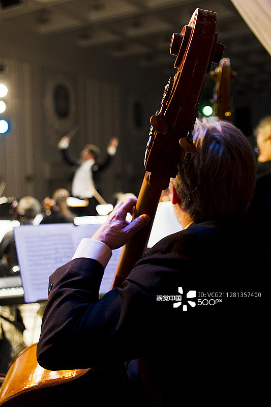 演奏低音提琴的音乐人图片素材