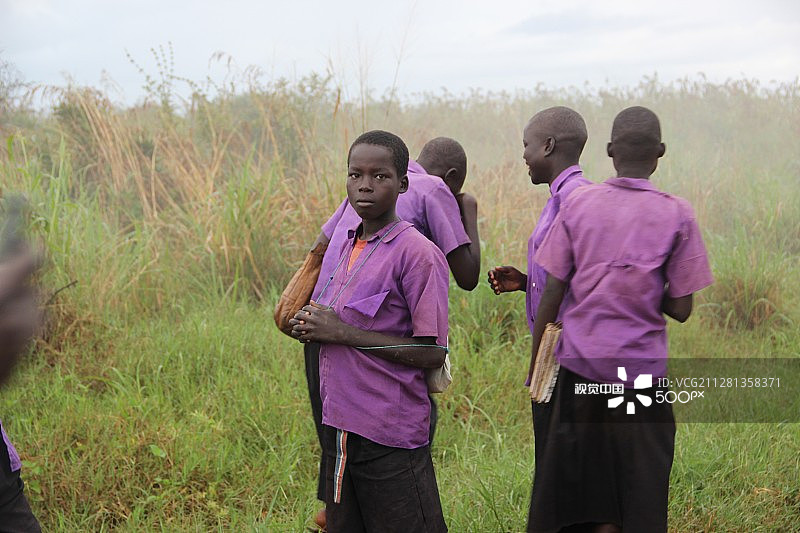 乌干达基特古姆的紫色图片素材