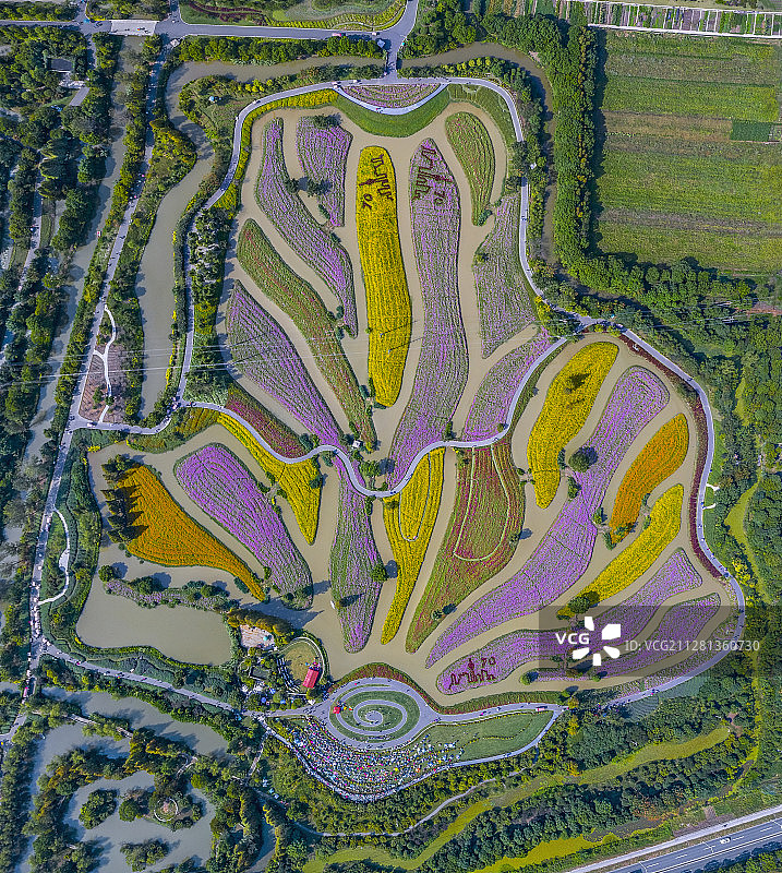 花海航拍图片素材