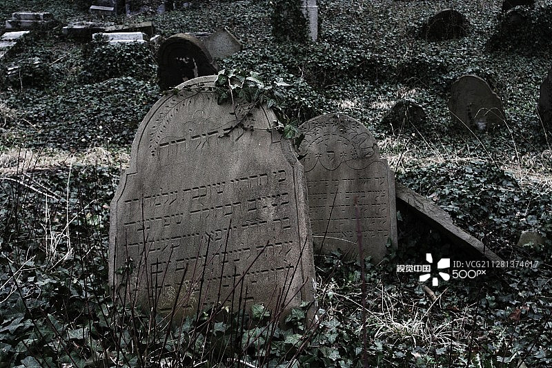 切申（波兰）犹太人公墓旧址图片素材