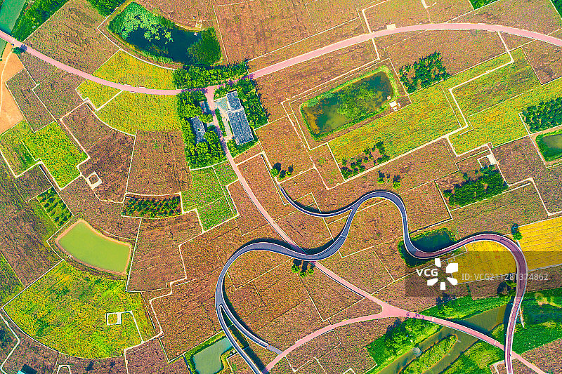 航拍宿迁衲田花海图片素材