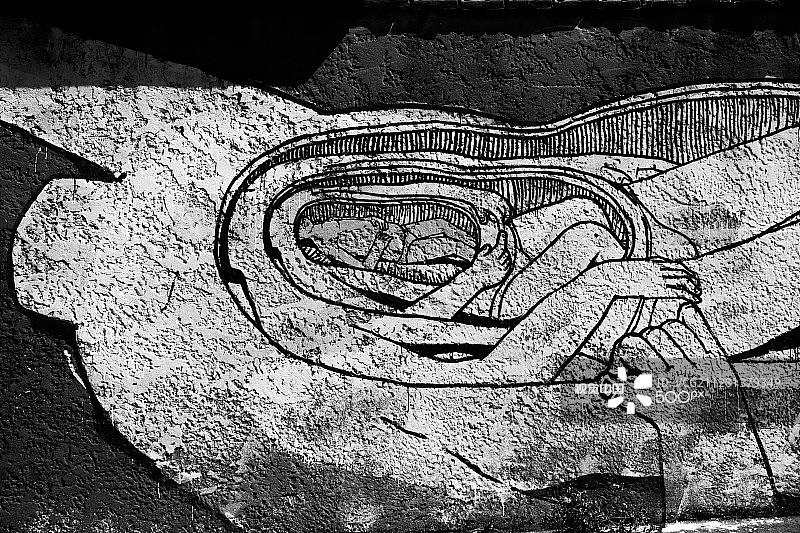 BLU：城市艺术#7图片素材