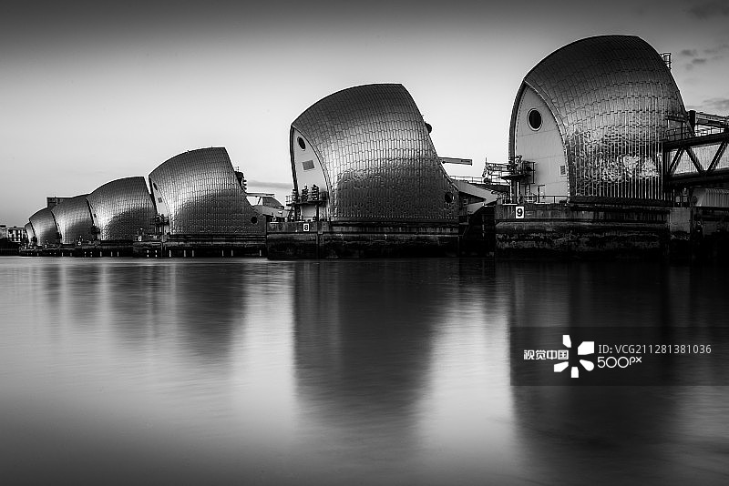 金属贝壳图片素材