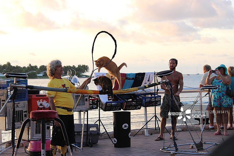 基韦斯特的猫人1图片素材