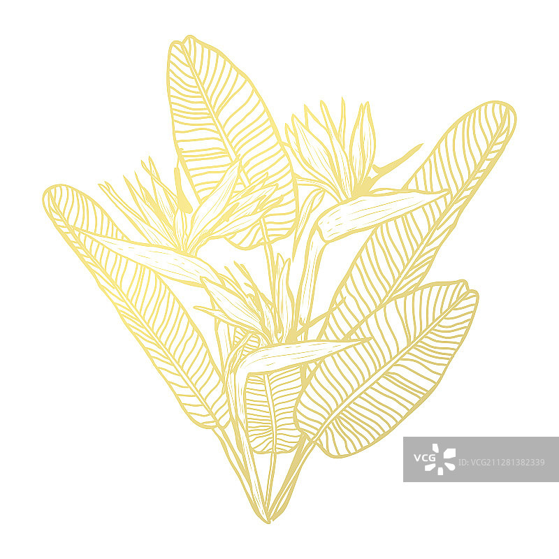 金色的花装饰图片素材