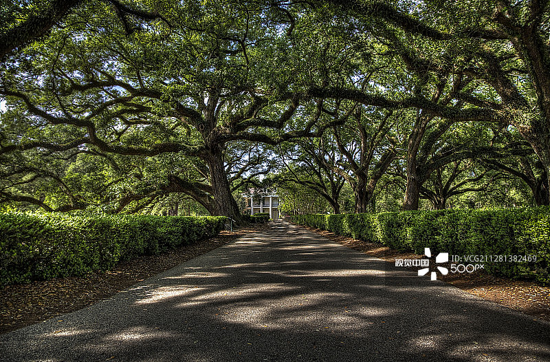 橡树巷种植园图片素材