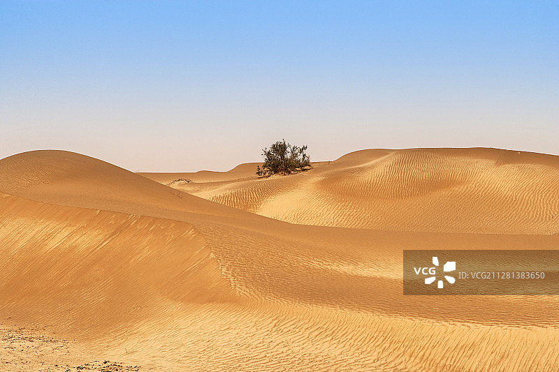 新疆塔克拉玛干沙漠自然风光图片素材