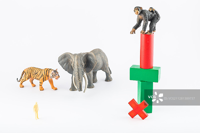 微距动物模型拍摄抵制动物表演主题插图。图片素材