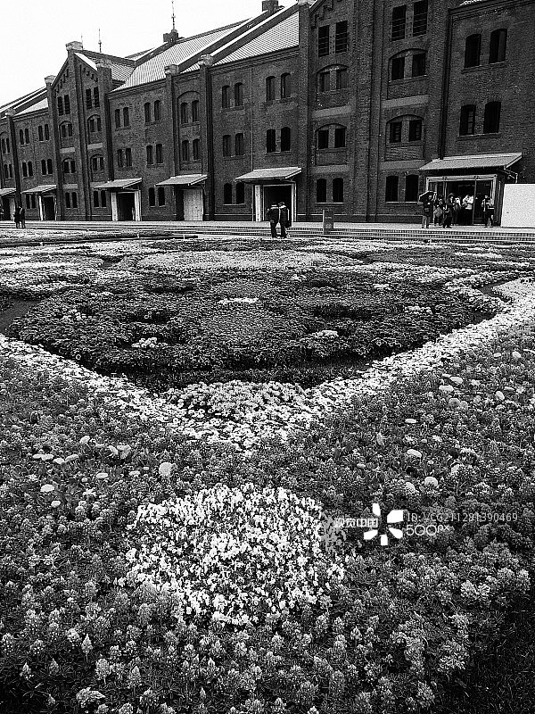 横滨（2）-日本-图片素材