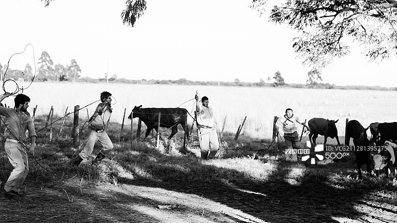 高乔人图片素材