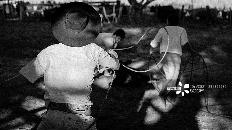 高乔人图片素材