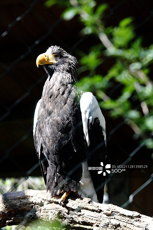 摄影师：Lisa Roderer / 500px图片素材