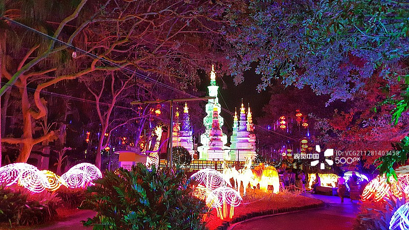 坦帕Lowry公园动物园的灯光展图片素材