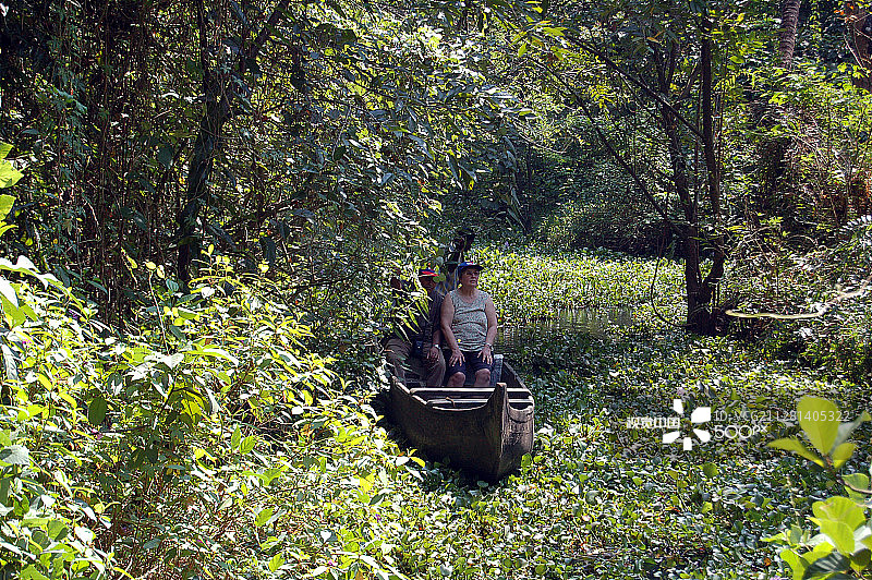 一艘瓦拉姆船（乡村船）穿过覆盖着水葫芦的狭窄运河图片素材