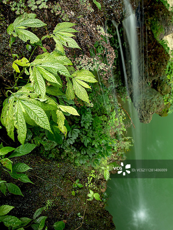 涓涓山泉落碧潭图片素材