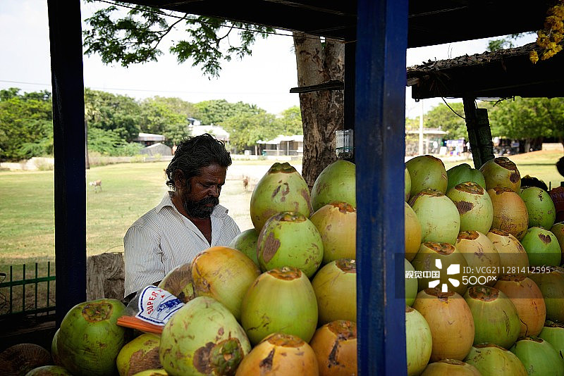 椰子摊位图片素材