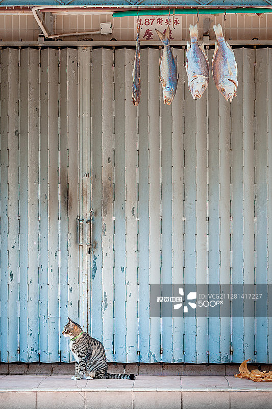 香港大澳图片素材