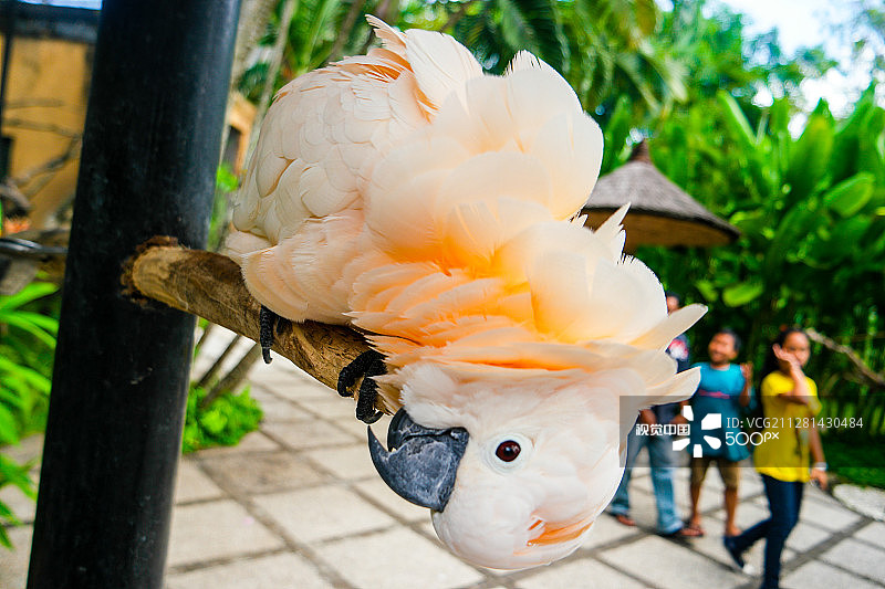 06140044.jpg图片素材