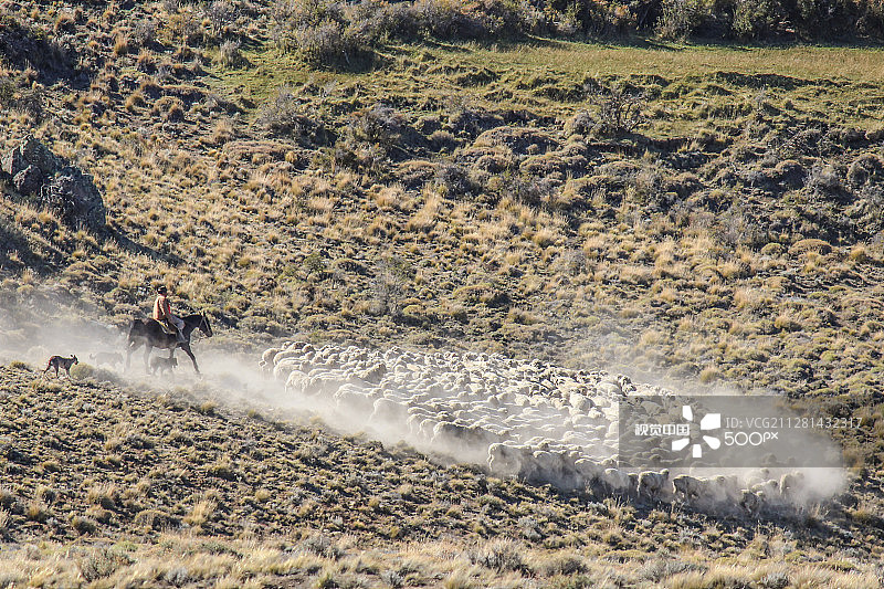 阿根廷巴塔哥尼亚科科瓦多图片素材