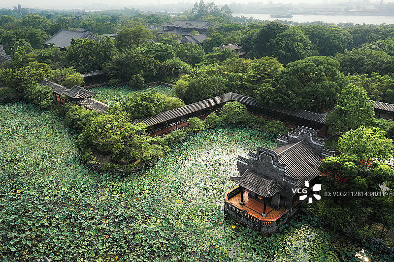 荷香满苑+广东省东莞市道滘镇粤晖园图片素材