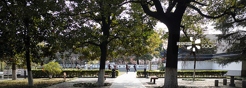 森林里的舞蹈图片素材