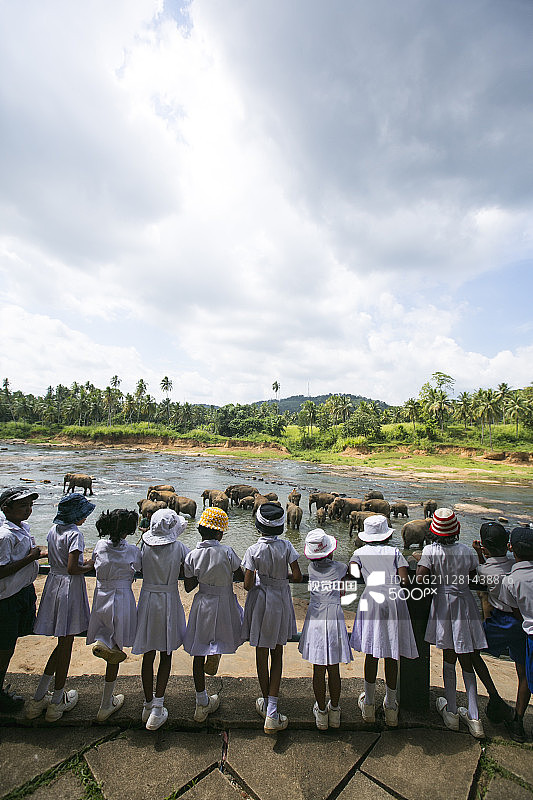 在奥亚河体验与大象共浴图片素材