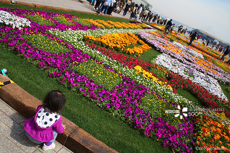 我想成为一名花艺师！图片素材