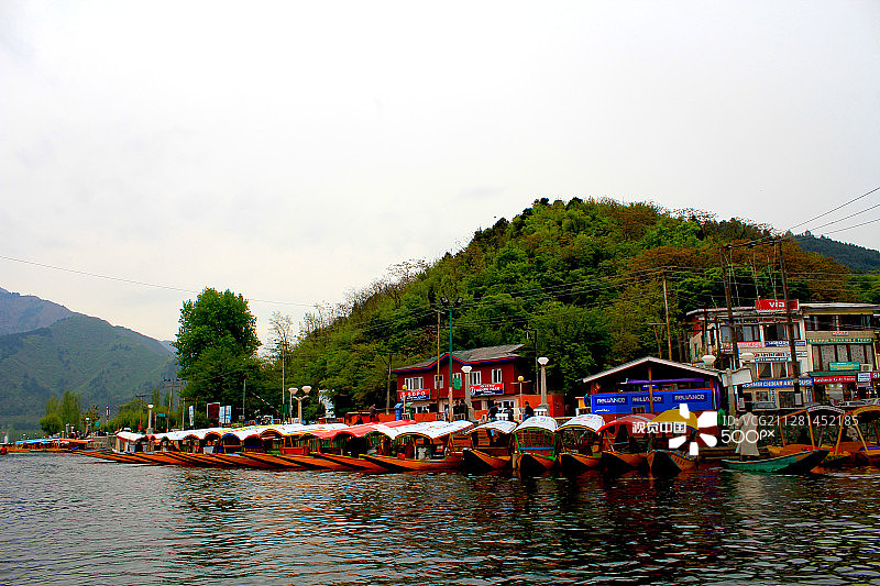 达尔湖风光（IMG_0147-1.jpg）图片素材