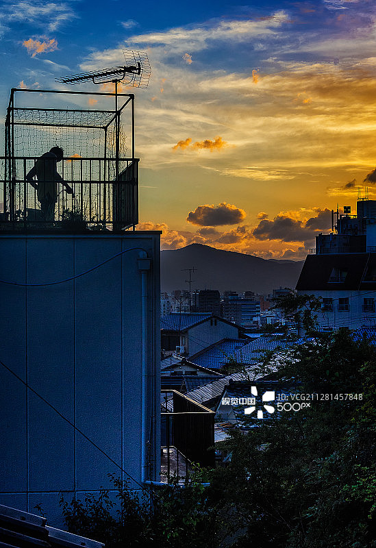 日落时分的京都城市园丁图片素材
