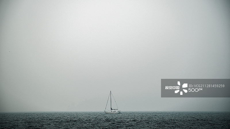 2015年温哥华野火：美女与野兽图片素材